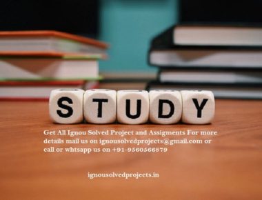 How To Get IGNOU MBA Solved Projects And Synopsis